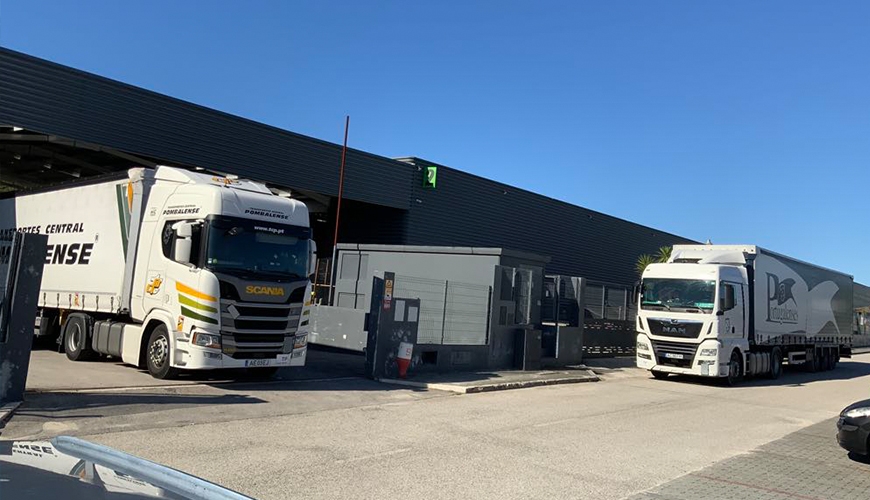 Distribuição & Montagem